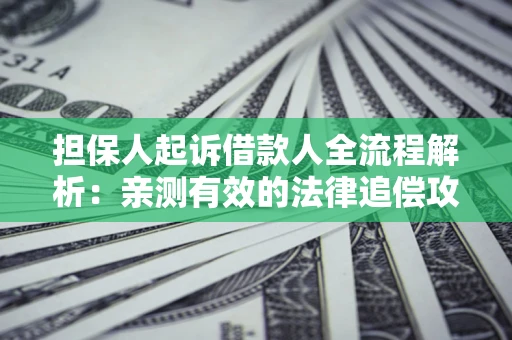 济南担保人起诉借款人全流程解析：亲测有效的法律追偿攻略