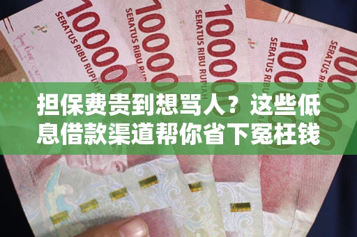 济南担保费贵到想骂人？这些低息借款渠道帮你省下冤枉钱