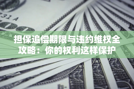 济南担保追偿期限与违约维权全攻略：你的权利这样保护